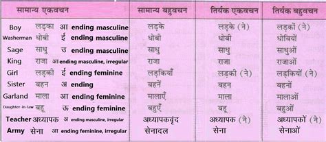 declension of bahu.